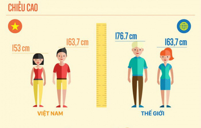 Chiều cao trung bình của người Việt Nam